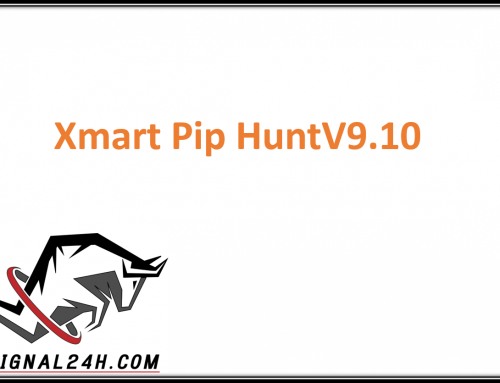 Xmart Pip HuntV9.10